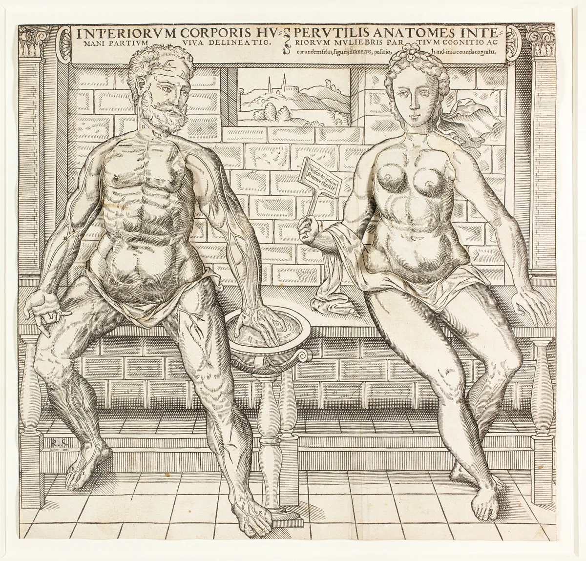 Interiorum corporis humani partium viva delineatio, from the second edition of the Compendiosa totius anatomie delineation by Monogrammist R. S., print, 1555-1559