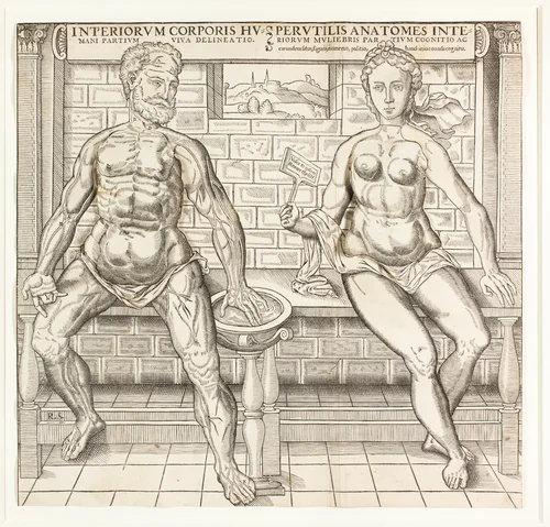 Interiorum corporis humani partium viva delineatio, from the second edition of the Compendiosa totius anatomie delineation by Monogrammist R. S., print, 1555-1559