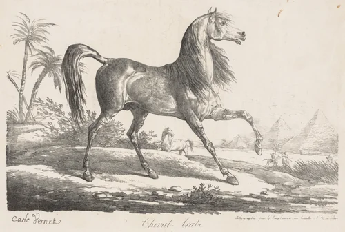 Suite de Chevaux: Cheval Arabe by Carle Vernet, print, 1780-1836