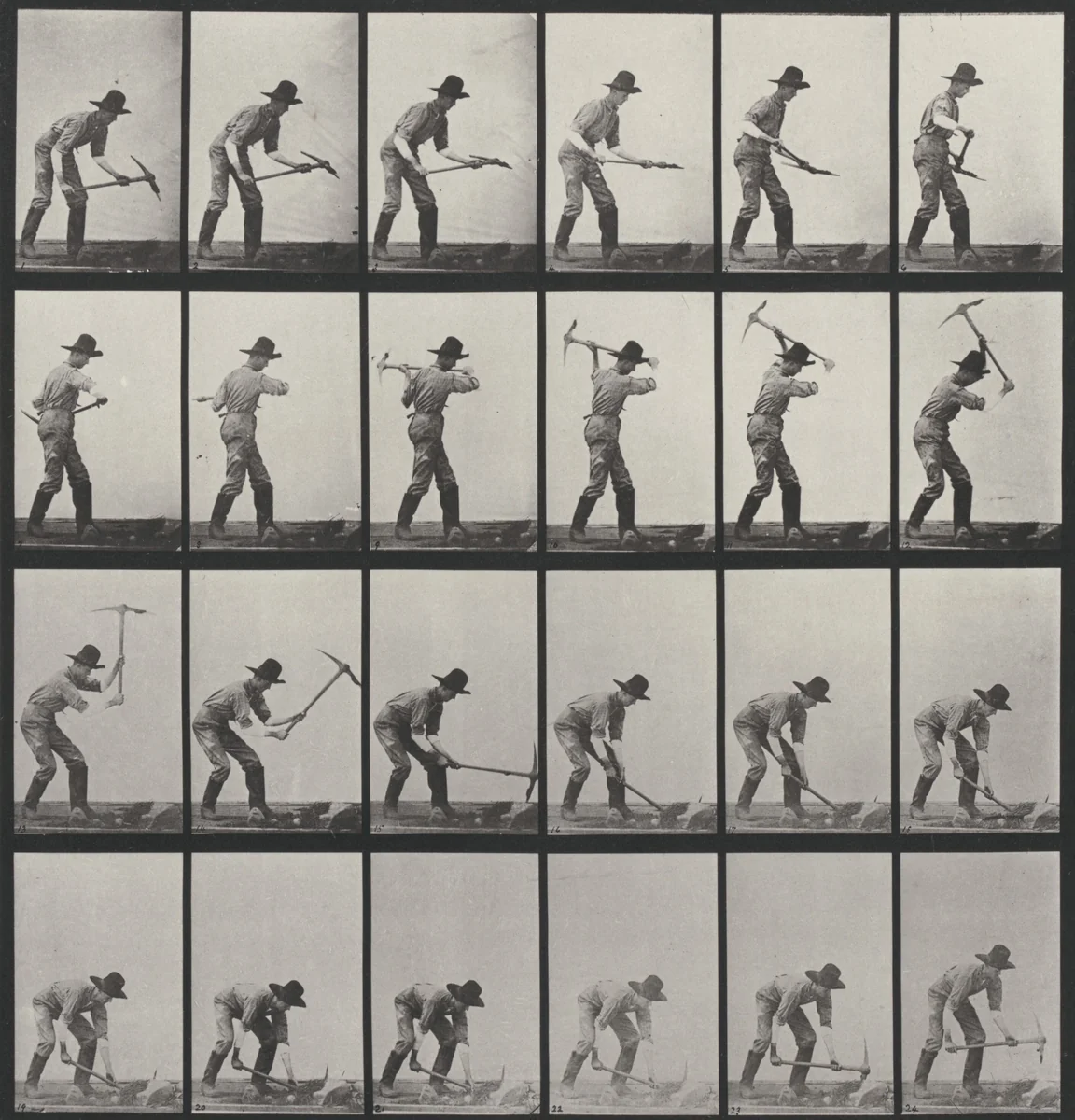 Plate Number 386. Miner, using a pick by Eadweard Muybridge, photograph, 1887