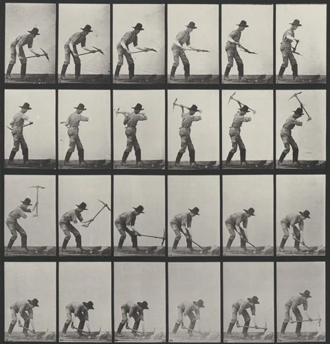 Plate Number 386. Miner, using a pick by Eadweard Muybridge, photograph, 1887