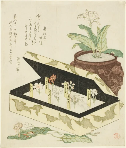 Primroses by Kubo Shunman (窪俊満), print, 1810-1819