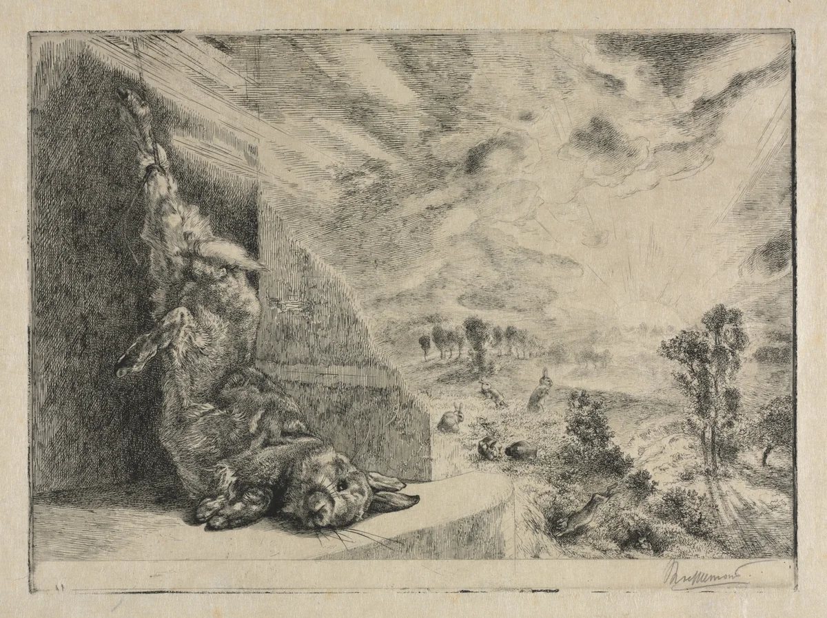 The Wild Rabbit by Félix Bracquemond, print, 1891