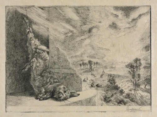The Wild Rabbit by Félix Bracquemond, print, 1891
