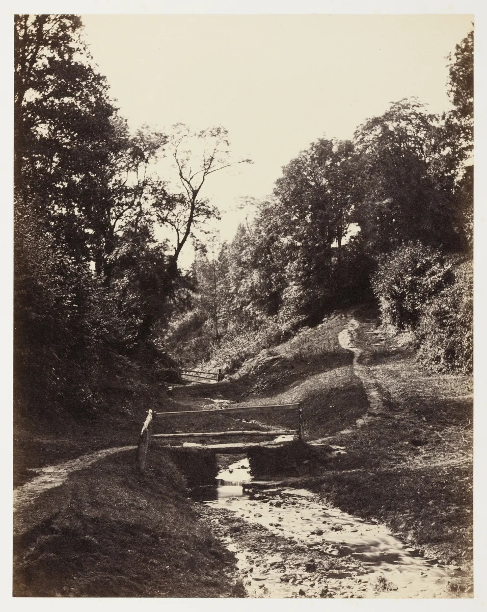 Scene near Godalming, Surrey by Alfred Rosling, photograph, 1851-1861