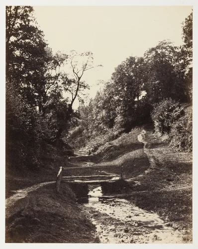 Scene near Godalming, Surrey by Alfred Rosling, photograph, 1851-1861