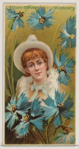 Cornflower: Modesty, from the series Floral Beauties and Language of Flowers (N75) for Duke brand cigarettes by American Tobacco Company, print, 1892