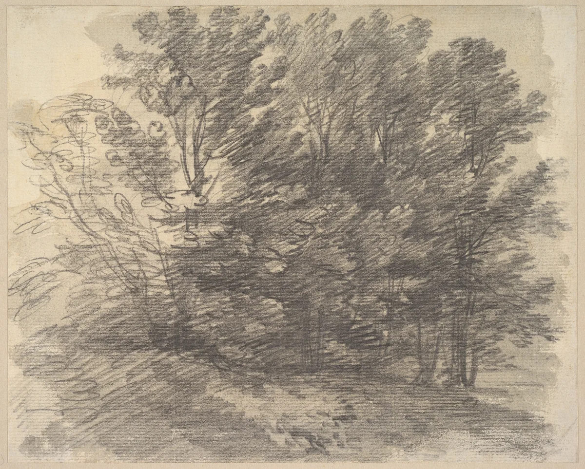 A clump of trees by Thomas Gainsborough, drawing, 1752-1762