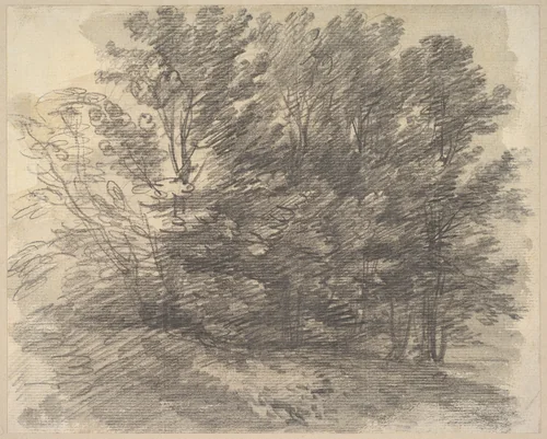 A clump of trees by Thomas Gainsborough, drawing, 1752-1762