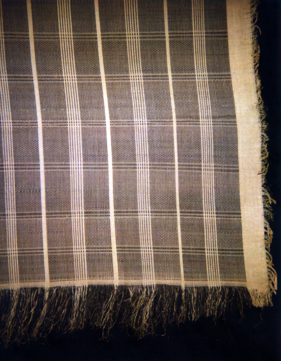 Double Panel by Mangbetu, textile, 1825-1900