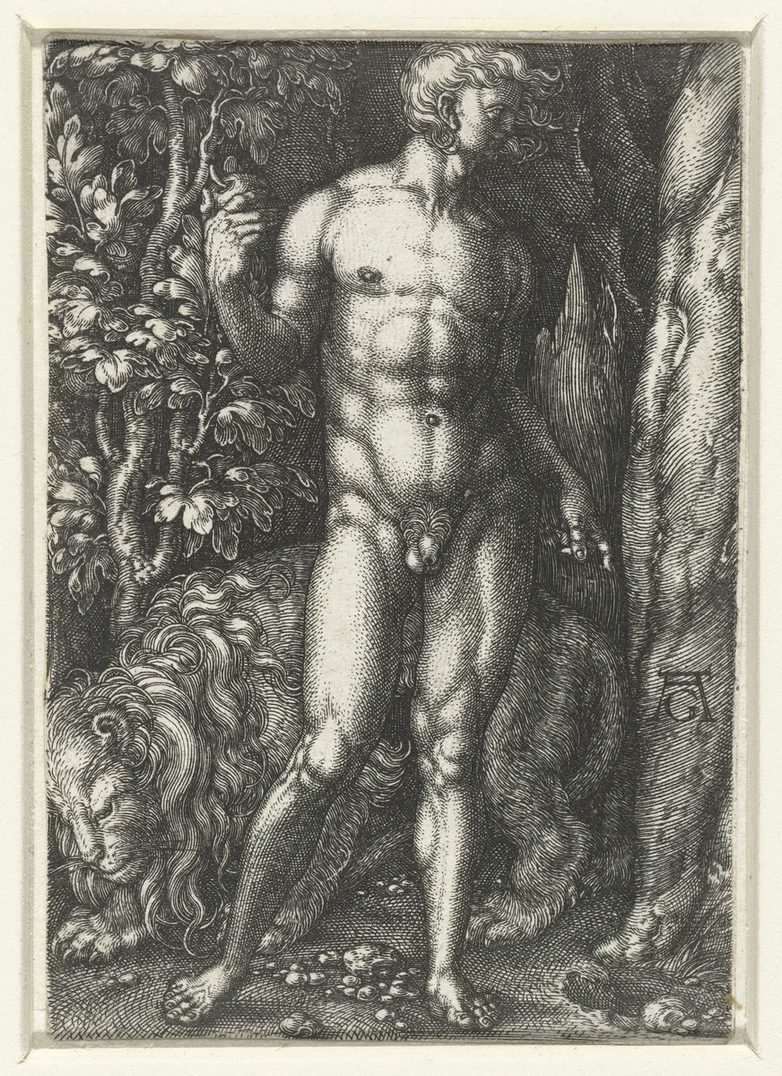 Adam by Unknown, print, 1512-1560