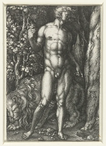 Adam by Unknown, print, 1512-1560