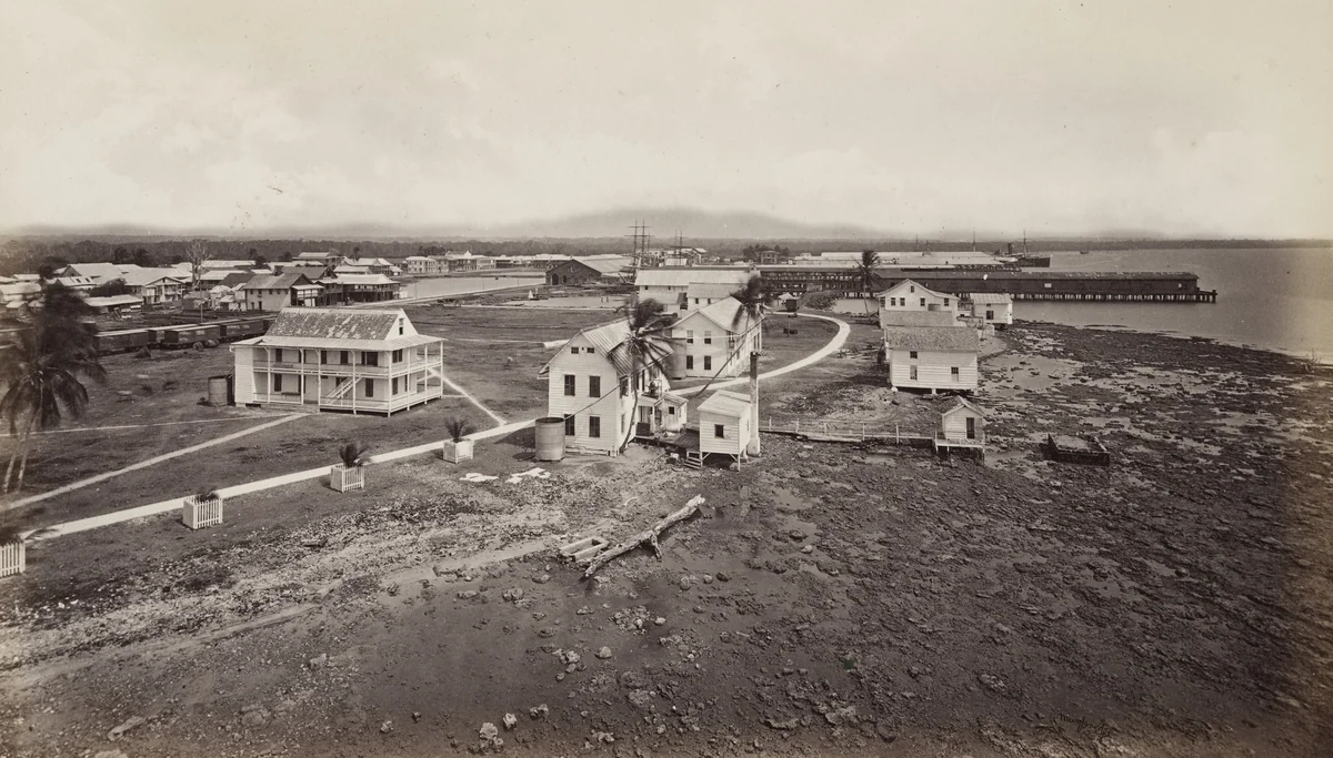 Aspinwall from the Light House by Eadweard Muybridge, photograph, 1875