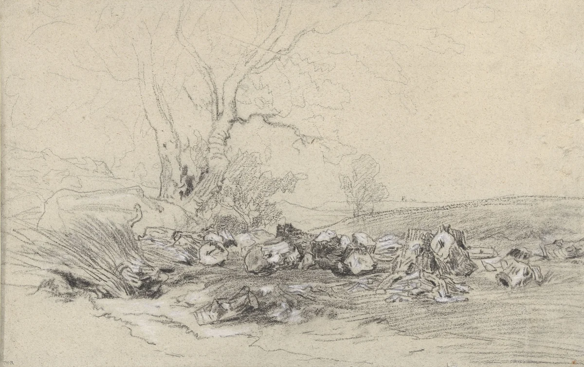 Omgehakte bomen by Théodore Rousseau, drawing, 1822-1867