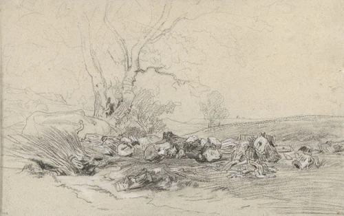 Omgehakte bomen by Théodore Rousseau, drawing, 1822-1867
