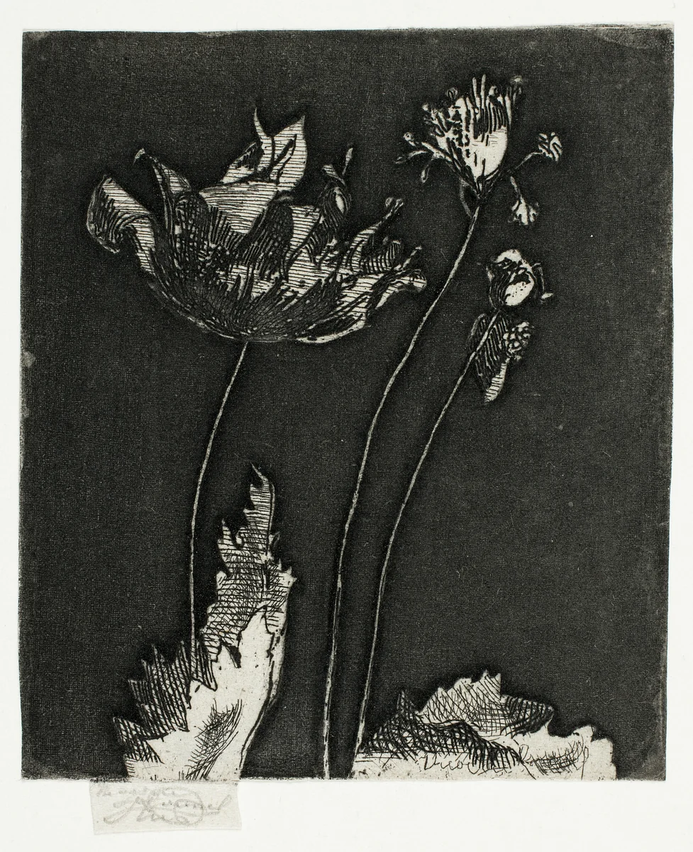 Last Poppies by Theodore Roussel, print, 1897