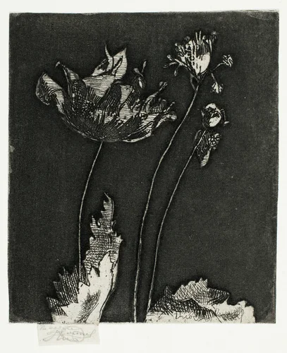 Last Poppies by Theodore Roussel, print, 1897