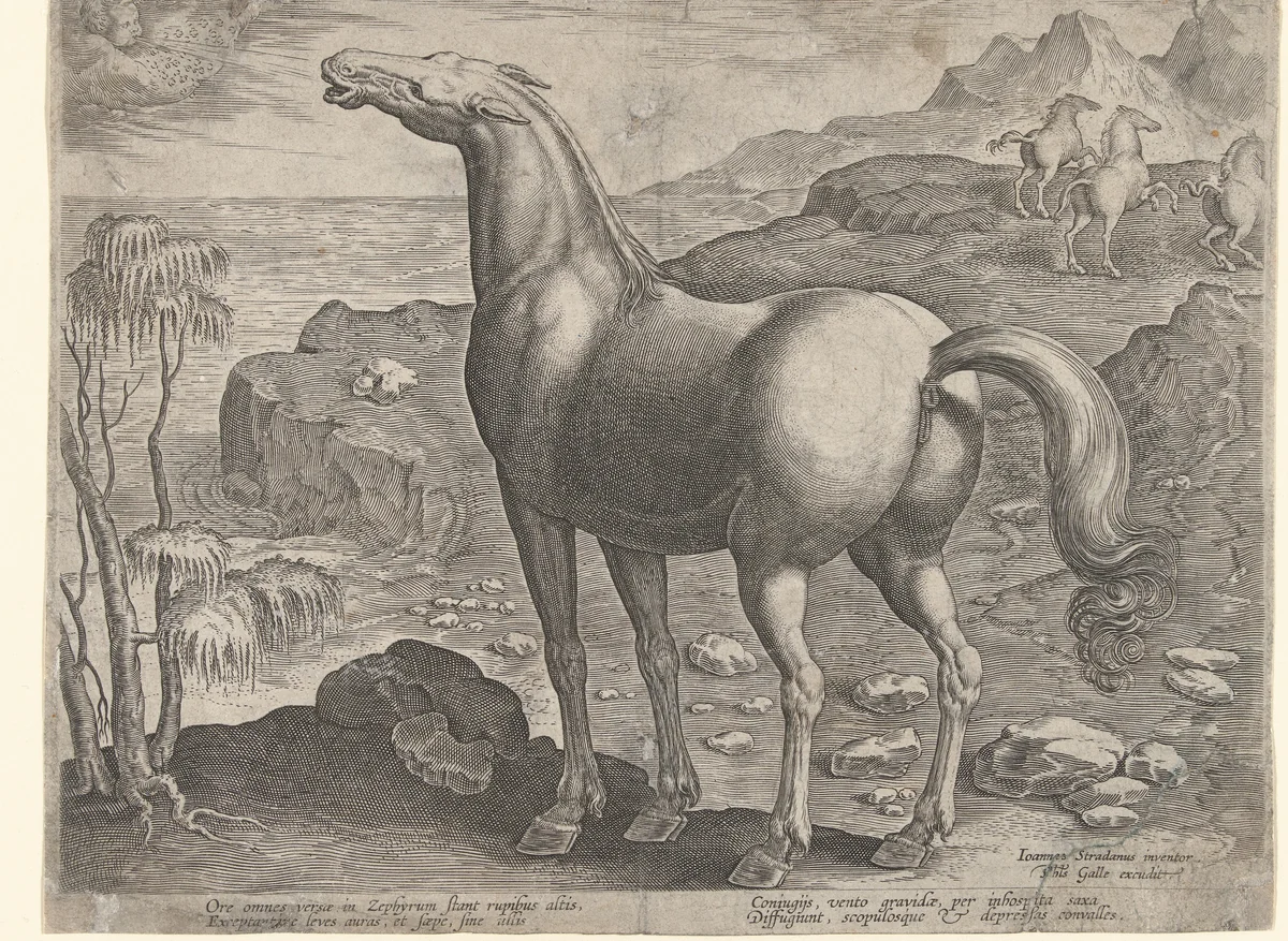 Zephyros bevrucht een merrie by Unknown, print, 1583-1587