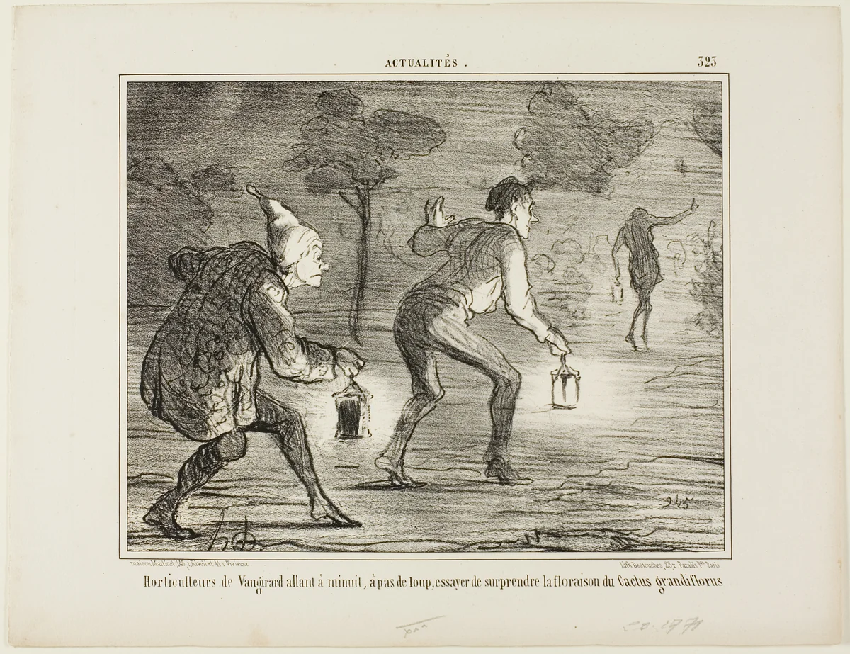 Horticulturists of Nanterre tiptoeing at midnight towards the cactus grandiflorus in order to surprise it in its blossoming, plate 323 from Actualités by Honoré-Victorin Daumier, print, 1856