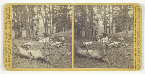 Successful Hunters dressing Elk, No. 56 from the series "Yellowstone National Park Views" by William Marshall, photograph, 1876