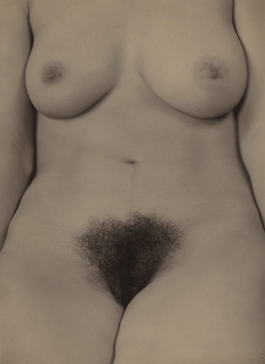 Georgia O'Keeffe—Torso by Alfred Stieglitz, photograph, 1918-1919