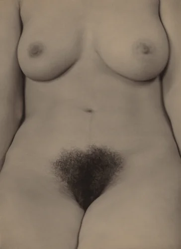 Georgia O'Keeffe—Torso by Alfred Stieglitz, photograph, 1918-1919