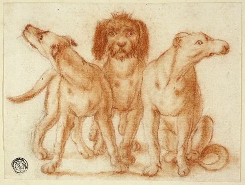 Three Dogs by Unknown Artist, drawing, 1700-1799