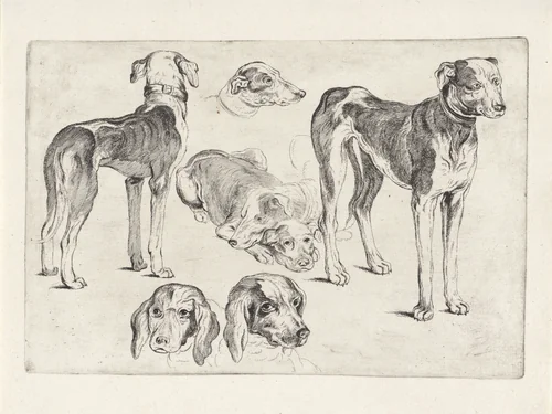 Studies van jachthonden by Wenceslaus Hollar, print, 1646-1647