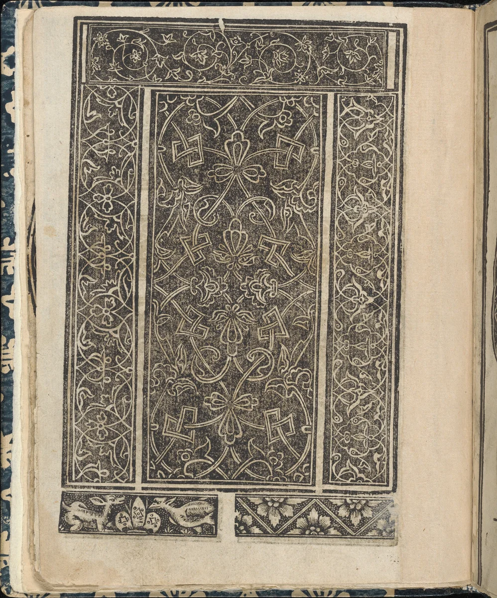 Essempio di recammi, page 14 (verso) by Giovanni Antonio Tagliente, book, 1530