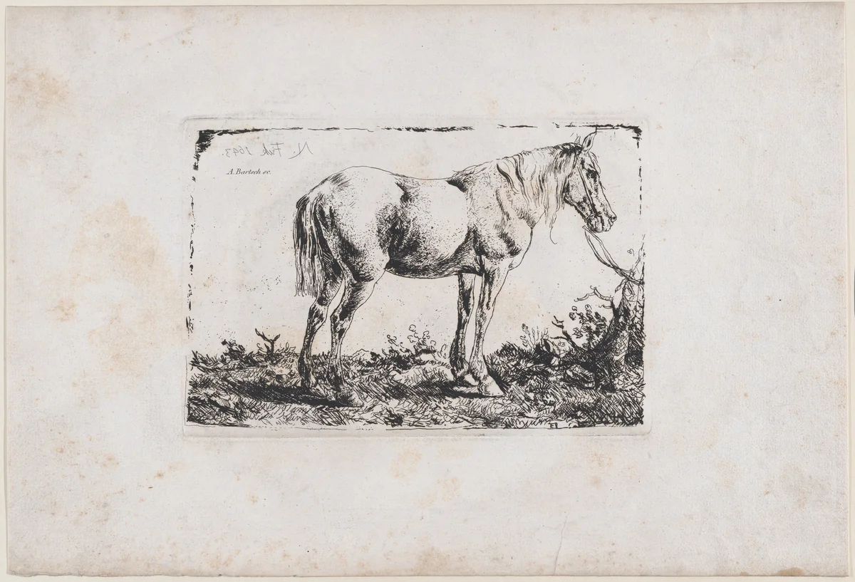 Horse Standing by Adam von Bartsch, print, 1803