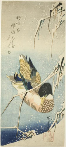 A Wild Duck Swimming by a Snow-covered Bank beneath Snow-laden Reeds by Utagawa Hiroshige (歌川広重), print, 1830-1839