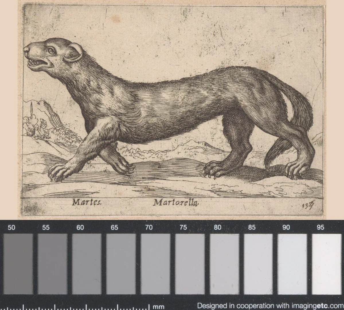 Marter by Antonio Tempesta, print, 1565-1630