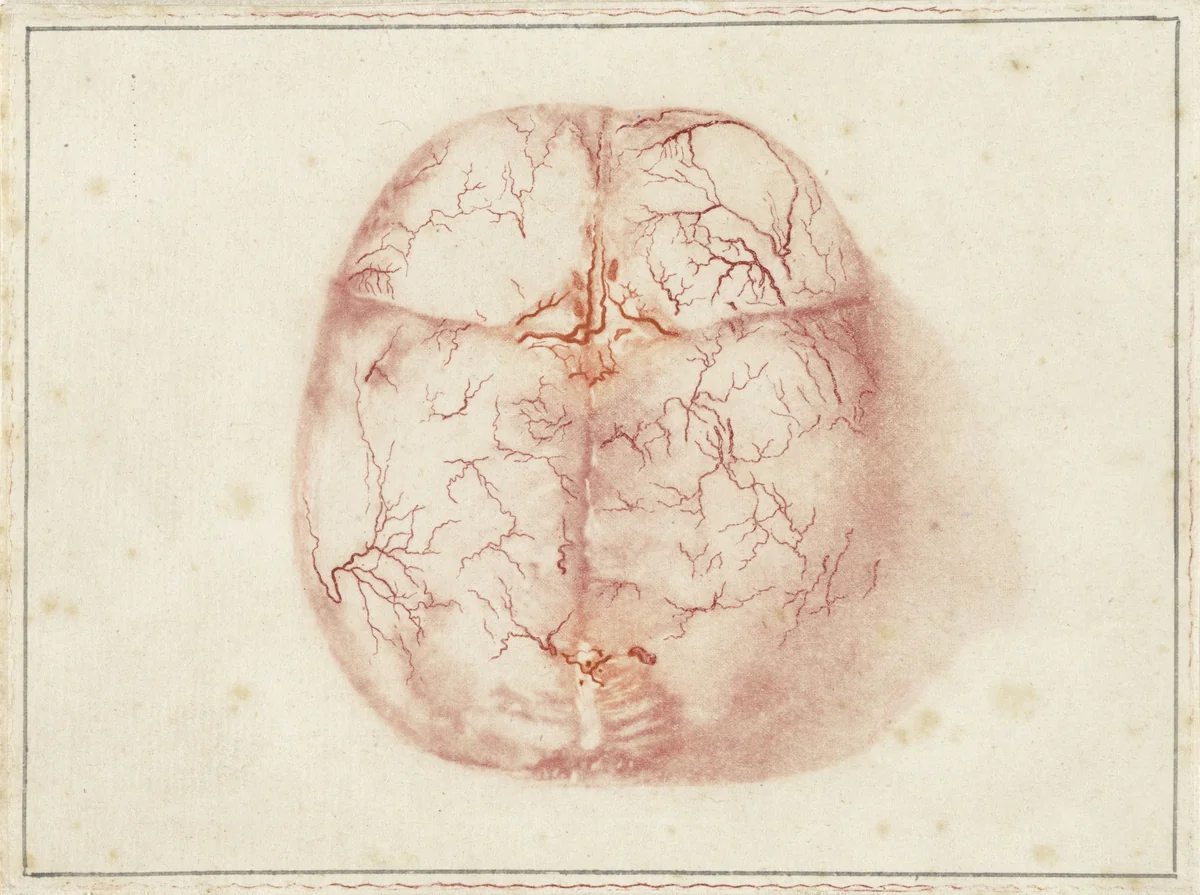 Prenten van het brein en het hart by Jan l' Admiral, print, 1733-1738