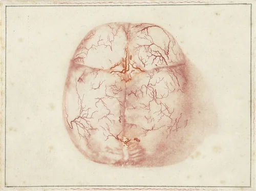 Prenten van het brein en het hart by Jan l' Admiral, print, 1733-1738