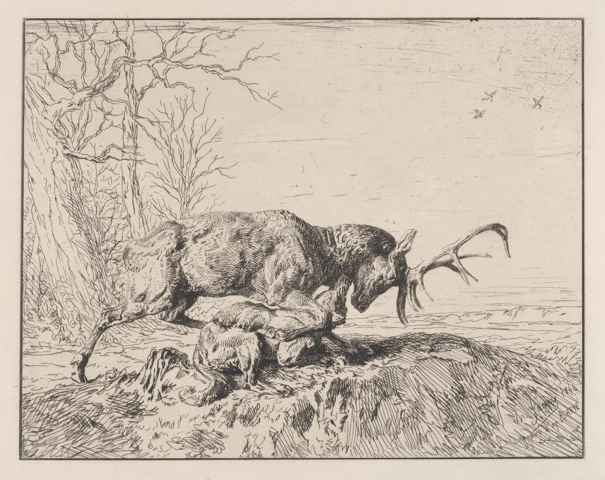 Stag Fighting a Wolf, after Antoine Louis Barye by Charles Jacque, print, 1846