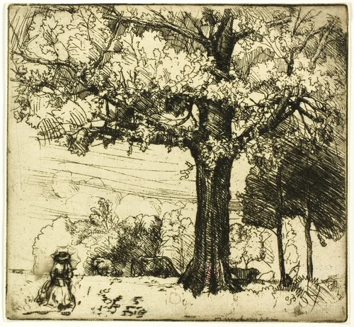 The Great Oak by Donald Shaw MacLaughlan, print, 1907