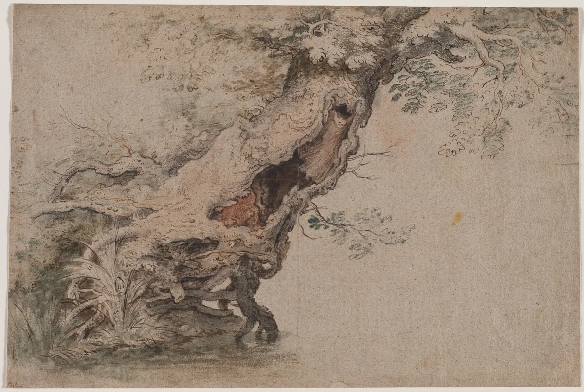 Hollow Tree, after Roelant Savery by Lambert Doomer, drawing, 1670-1700