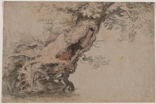 Hollow Tree, after Roelant Savery by Lambert Doomer, drawing, 1670-1700
