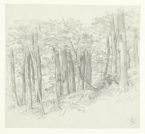 Bosheuvel by Charles Nicolas Cochin, drawing, 1725-1790