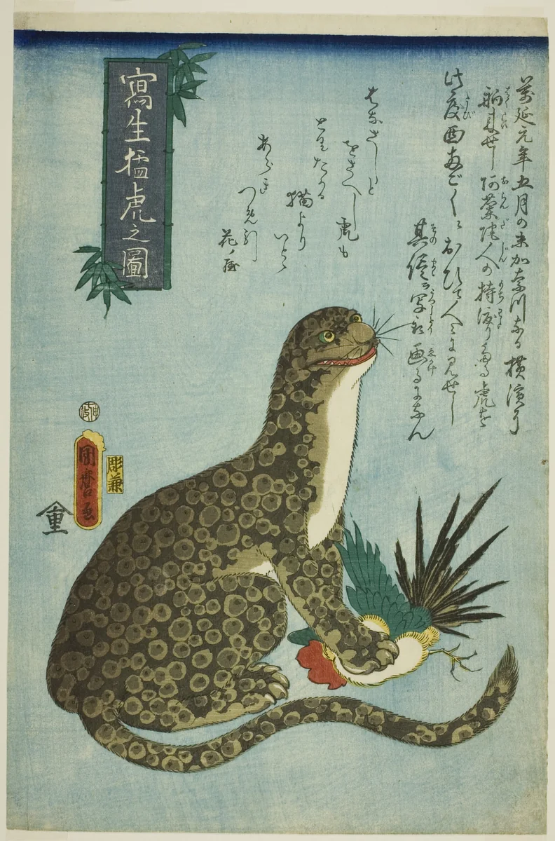 Picture of a Ferocious Tiger Drawn from Life (Shasei moko no zu) by Utagawa Kunimaro I, print, 1860