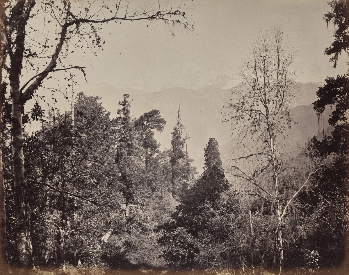 The Upper Himmalayahs. View of the Mountain of Bunderpoonch with the Jumnootri Peak, 20,458 above the Level of the Sea by Samuel Bourne, photograph, 1863-1870