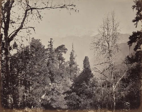 The Upper Himmalayahs. View of the Mountain of Bunderpoonch with the Jumnootri Peak, 20,458 above the Level of the Sea by Samuel Bourne, photograph, 1863-1870