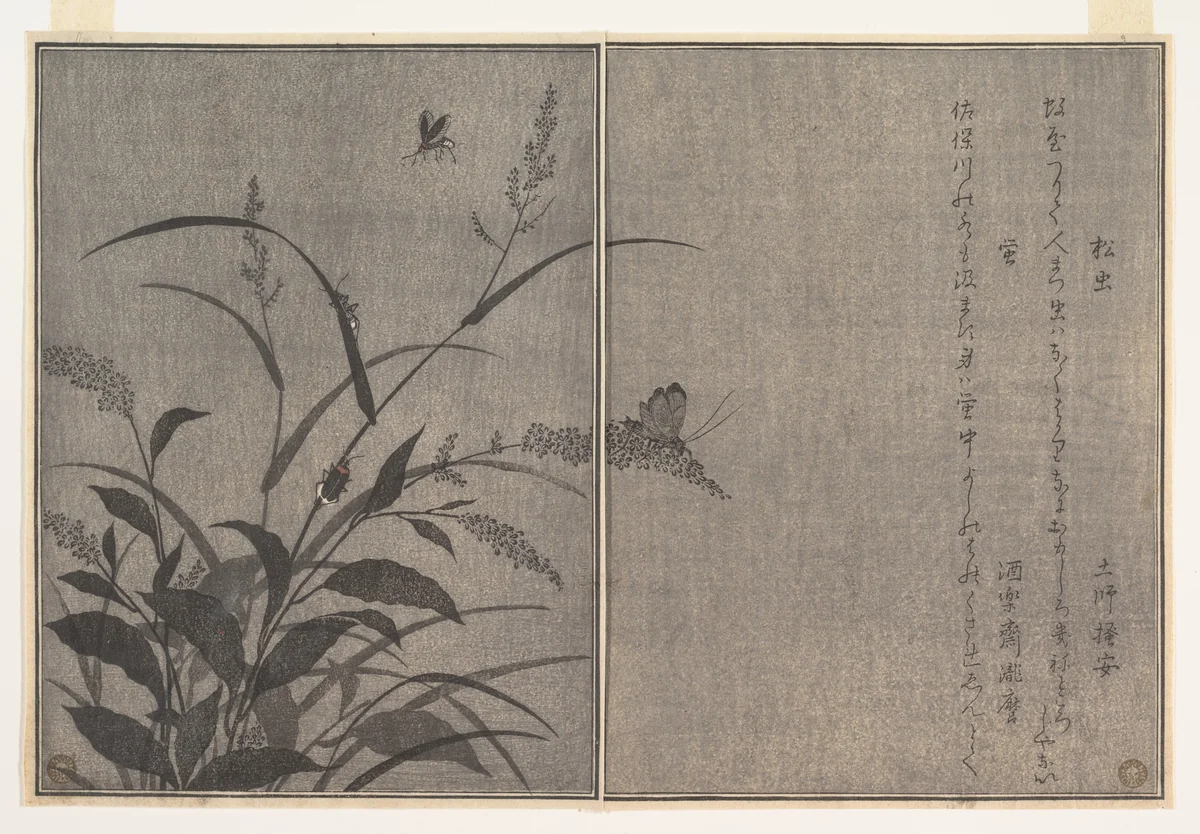 Tree cricket (Matsumushi); Firefly (Hotaru), from the Picture Book of Crawling Creatures (Ehon mushi erami) by Kitagawa Utamaro (喜多川歌麿), print, 1788