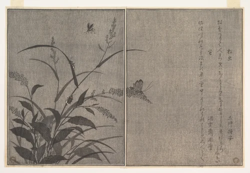 Tree cricket (Matsumushi); Firefly (Hotaru), from the Picture Book of Crawling Creatures (Ehon mushi erami) by Kitagawa Utamaro (喜多川歌麿), print, 1788