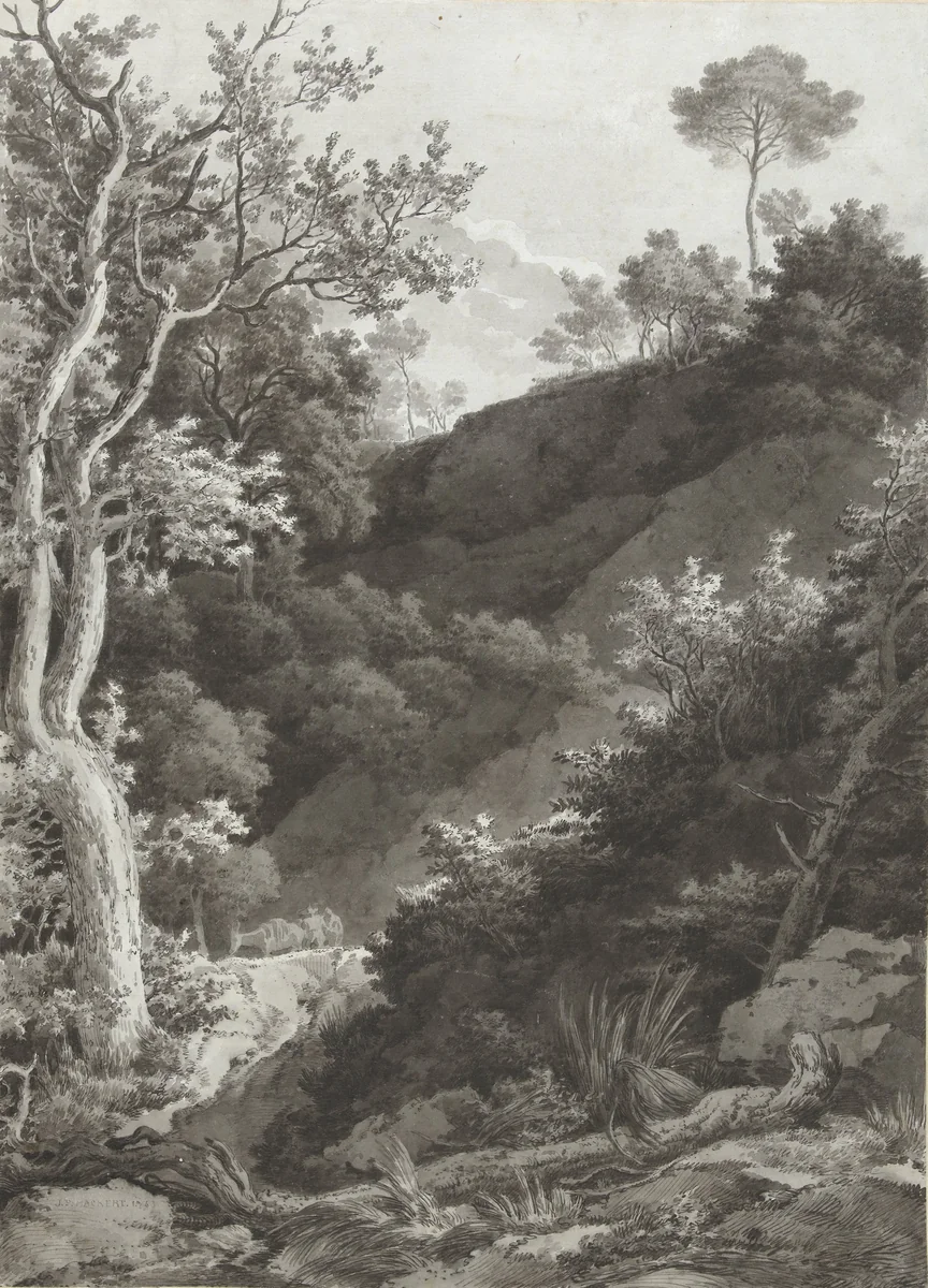 Beboste berghelling by Jacob Philipp Hackert, drawing, 1763