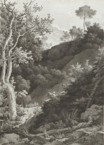 Beboste berghelling by Jacob Philipp Hackert, drawing, 1763