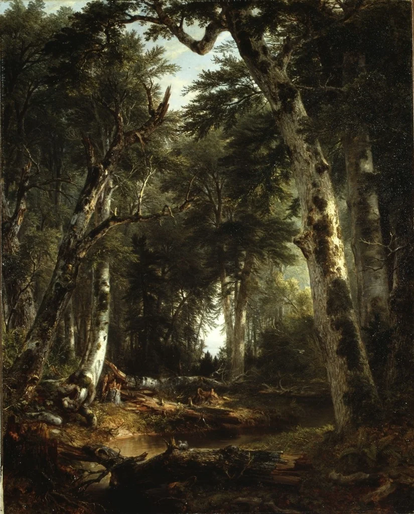In the Woods by Asher Brown Durand, artwork, 1855