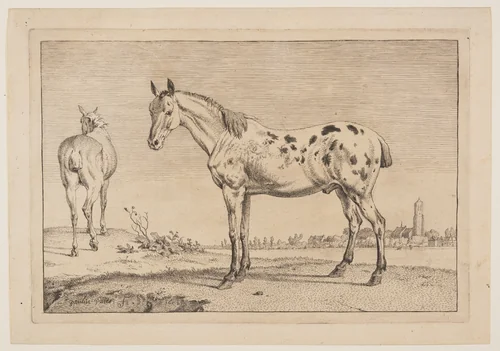 The Neighing Horse, from Series of Horses by Paulus Potter, print, 1652