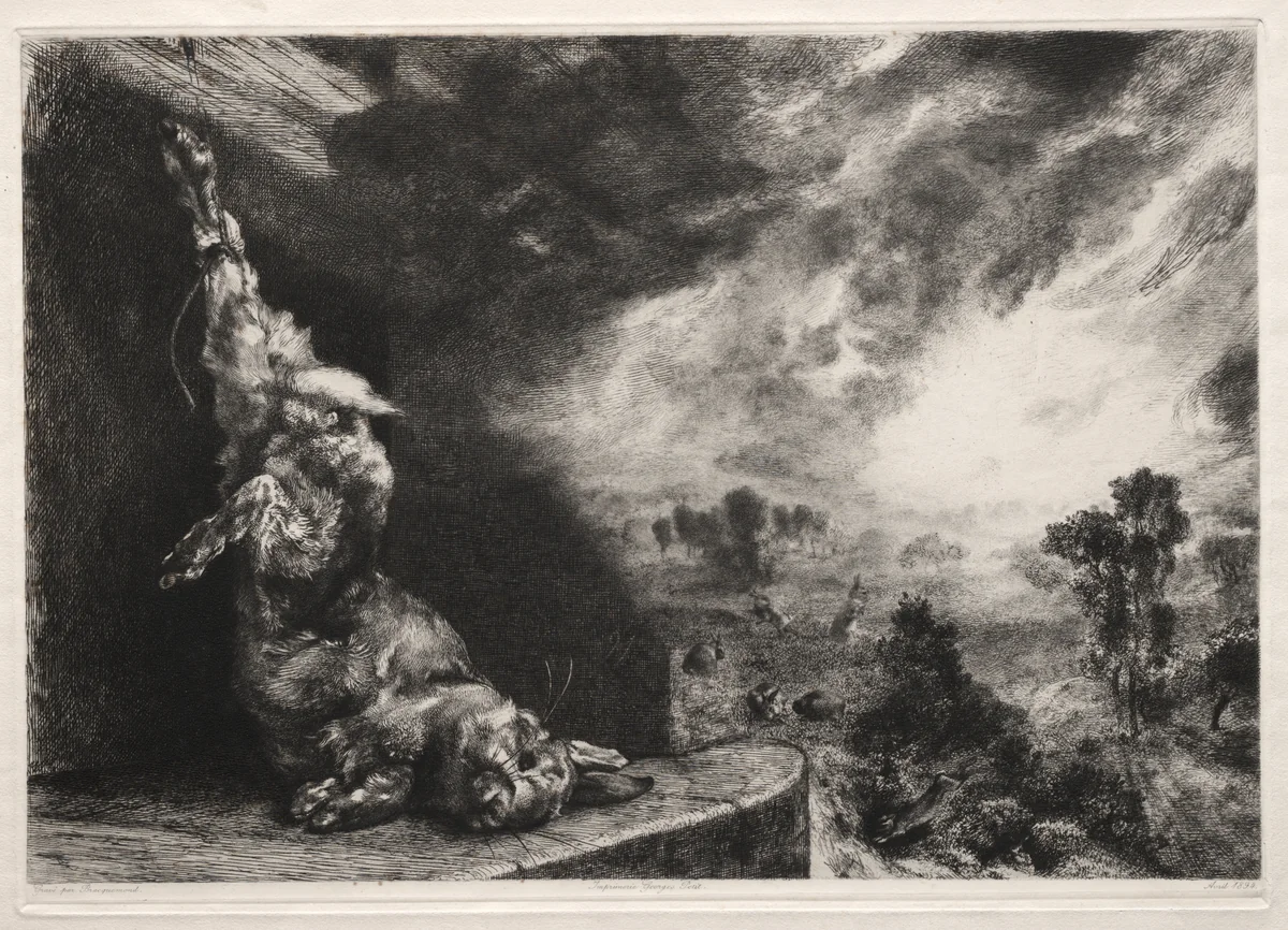 The Large Rabbit by Félix Bracquemond, print, 1891