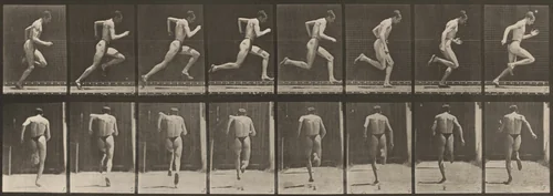 Plate Number 61. Running at full speed by Eadweard Muybridge, photograph, 1887